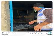 معدوم‌سازی بیش از 180 کیلو گوشت منجمد فاقد بسته‌بندی در شهرستان مسجد سلیمان