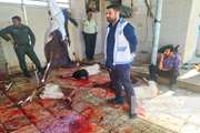 کشف و معدوم سازی 25 لاشه کشتار غیر مجاز دام در دشت آزادگان