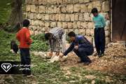 واکسیناسیون بیش از ۱۸ هزار قلاده سگ نگهبان در استان خوزستان