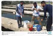  نظارت بهداشتی بر استخر‌های پرورش ماهی در شهرستان باوی