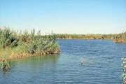 بازدید از تالابهای شهرستان اهواز 