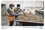بازدید از کارگاه های بسته بندی و عمل آوری میگو در منطقه چوئبده آبادان