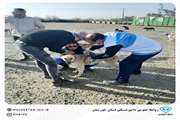 مصدومیت واکسیناتور دامپزشکی استان خوزستان بر اثر حمله سگ