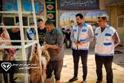 نظارت کارشناسان دامپزشکی خوزستان بر ذبح بیش از یک هزار رأس دام در تاسوعا و عاشورای حسینی
