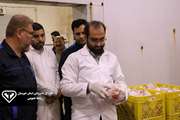 بازدید سرزده مدیرکل و مسئول دفتر نمایندگی ولی فقیه دامپزشکی خوزستان از کشتارگاه های طیور رامهرمز