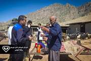 برگزاری اردوی خدمات جهادی دامپزشکی در مناطق محروم شهرستان های مسجدسلیمان و اندیکا