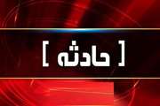 سگ گزیدگی واکسیناتور اداره دامپزشکی شهرستان مسجدسلیمان در حین خدمت 