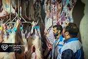 حذف لاشه 200 کیلویی گاومیش در کشتارگاه دام شهرستان شوش