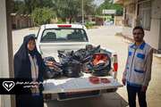 بیش از 150 کیلوگرم جگر فاسد مرغ در بهبهان کشف و معدوم شد.
