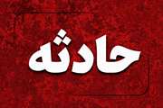 مصدومیت تکنسین دامپزشکی اندیکا حین عملیات واکسیناسیون هاری