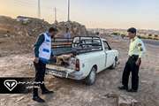 جمع‌آوری مراکز غیرقانونی ذبح دام در جاده‌های شهرستان مسجدسلیمان