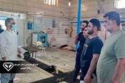 آموزش قصابان و سلاخان هفتکل به منظور پیشگیری از کشتار غیرمجاز دام