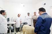 برگزاری كارگاه آموزشی كاربرد سونوگرافی در دامپزشکی خوزستان