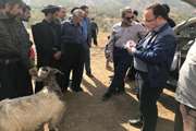 بازدید مدیر کل دامپزشکی خوزستان از مناطق صعب العبور استان