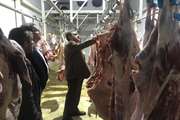 مدیر کل دامپزشکی خوزستان از کشتارگاه دام رامهرمز بازدید کرد
