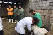 سرکشی مدیر کل دامپزشکی خوزستان از اکیپ های اعزامی واکسیناسیون دامی در مناطق سیل زده 