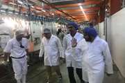 نماینده ولی فقیه دامپزشکی خوزستان از کشتارگاه دام خرمشهر بازدید کرد