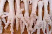 صادرات 112 هزار کیلوگرم پای مرغ از استان خوزستان به کشور ویتنام 