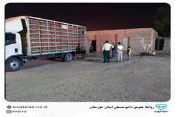 خودرو حمل مرغ زنده فاقد مجوز بهداشتی با همکاری اداره دامپزشکی و پاسگاه انتظامی توقیف شد.