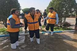 درمان ۲۰ هزار قطعه طیور و ۹۴۰ راس دام در مناطق سیل زده خوزستان