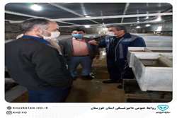 رصد و پایش بیماریهای ماهی قزل آلا در خوزستان