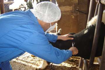 آموزش تست سل در استان خوزستان شهرستان اهواز