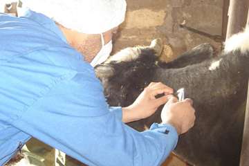 آموزش تست سل در استان خوزستان شهرستان اهواز