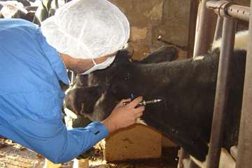 آموزش تست سل در استان خوزستان شهرستان اهواز