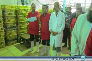 بازدید از کشتارگاه بلدرچین