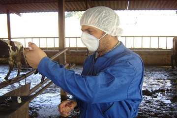 آموزش تست سل در استان خوزستان شهرستان اهواز