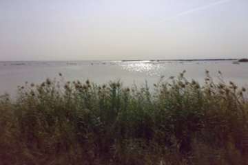 مختصری در خصوص وضعیت جغرافیائی شهرستان هویزه