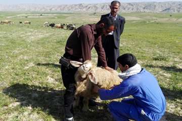 مانور 20بهمن اداره دامپزشکی شوشتر