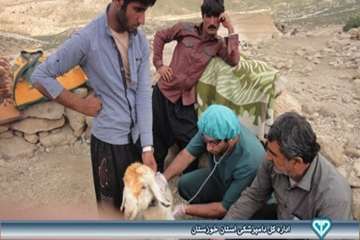 خدمات دامپزشکی در مناطق عشایری اندیکا