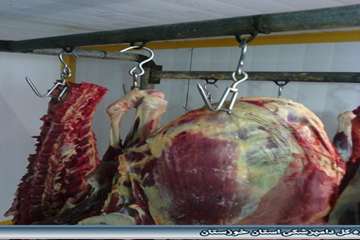 سردخانه بالای صفر کشتارگاه هندیجان  شهریور 94