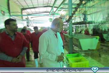 بازدید از کشتارگاه بلدرچین