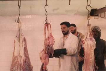 تصاوير قديمي از فعاليت هاي دامپزشكي خوزستان