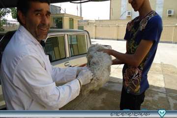 واکسیناسیون هاری - دامپزشکی امیدیه