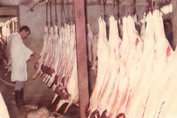 تصاوير قديمي از فعاليت هاي دامپزشكي خوزستان