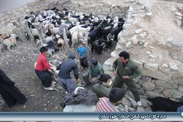 خدمات دامپزشکی در مناطق عشایری اندیکا