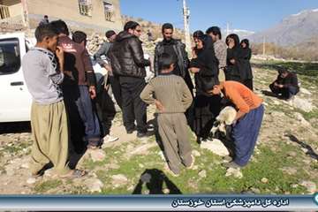 خدمات دامپزشکی در مناطق عشایری اندیکا