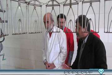 بازدید از کشتارگاه بلدرچین