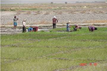 آثار تاریخی شهرستان رامهرمز