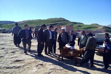 اردوی جهادی اداره دامپزشکی شهرستان گتوند