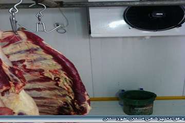 سردخانه بالای صفر کشتارگاه هندیجان  شهریور 94
