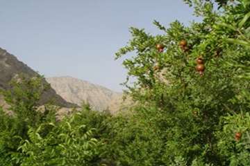 مختصری در خصوص وضعیت جغرافیائی شهرستان باغملک