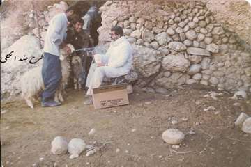 تصاوير قديمي از فعاليت هاي دامپزشكي خوزستان