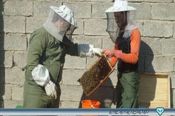 عملیات مبارزه با واروار - دامپزشکی امیدیه