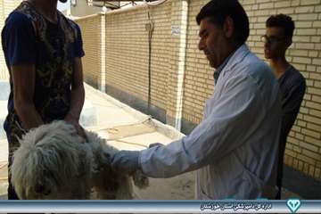 واکسیناسیون هاری - دامپزشکی امیدیه