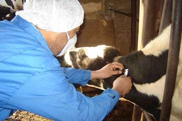 آموزش تست سل در استان خوزستان شهرستان اهواز