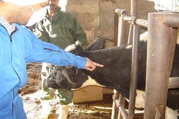 آموزش تست سل در استان خوزستان شهرستان اهواز